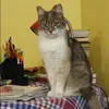 Отзыв от Мария Орехова
